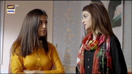 Mere Humsafar - Episode 20 - 19th May 2022